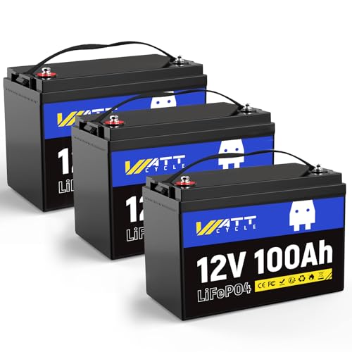 12V 314Ah Mini LiFePO4 Lithium Battery with Bluetooth 5.0, 200A BMS, 4.01kWh Energy, Upgraded Aluminum Cooling Fins & Braided Copper Wires, for RV