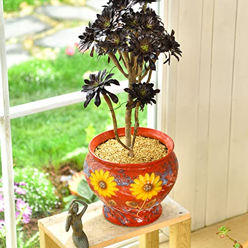 Sungmor Ceramic Planter Pot with Drainage Hole, Indoor Outdoor Large Succulent Flower pot, 9 Inch Hand Painted Clay Plant Pot