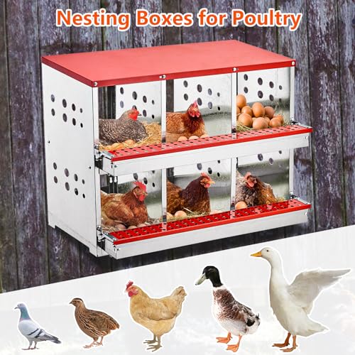 Nesting Boxes for Chickens, 6 Compartment Roll Out Away Chicken Nesting Boxes for Laying Eggs, Nesting Gift Boxes for Hens Duck Poultry