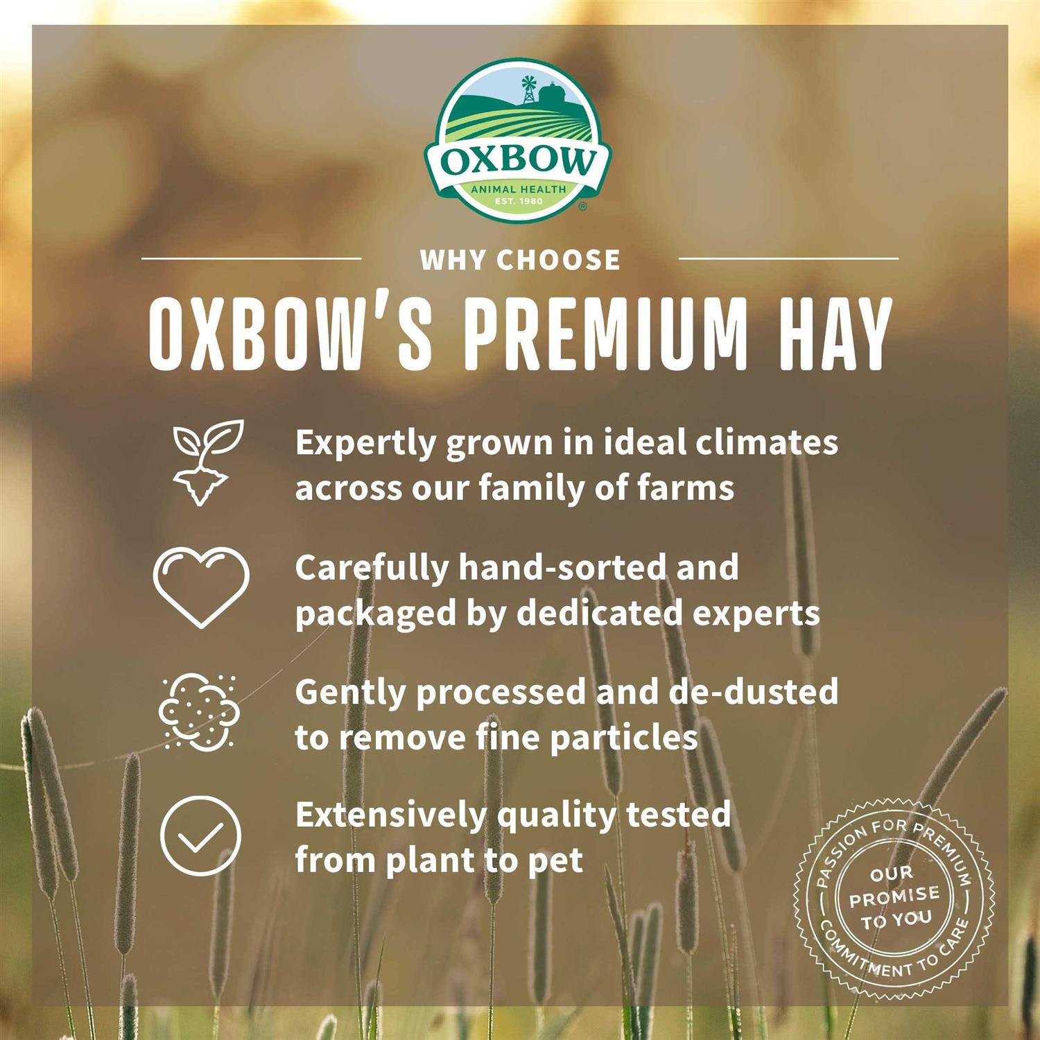 Oxbow Animal Health Orchard Grass Hay - Pet Supplies online store