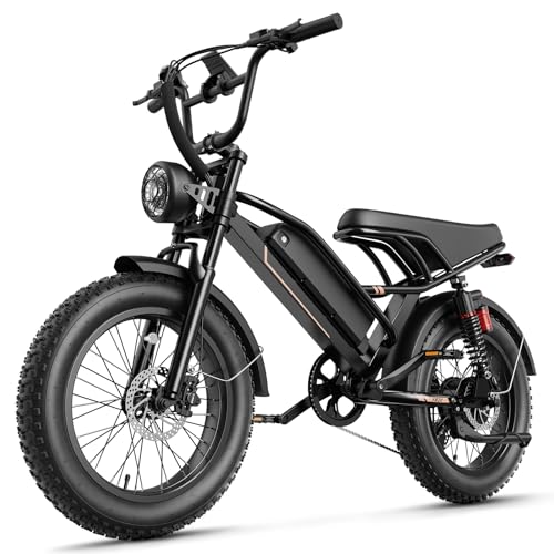 Jasion YR20 Electric Bike for Adults with Peak 2000W Motor, 48V 20AH Battery Electric Bicycle