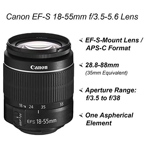 Canon EOS 2000D / Rebel T7 DSLR Camera with EF-S 18-55mm + EF 75-300mm Daul Lens + SanDisk 64GB Memory Card + Tripod + Case + Wideangle Lenses +