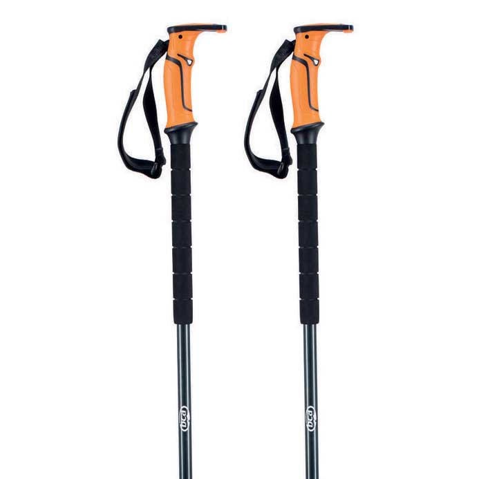 BCA Scepter Aluminum Ski Poles