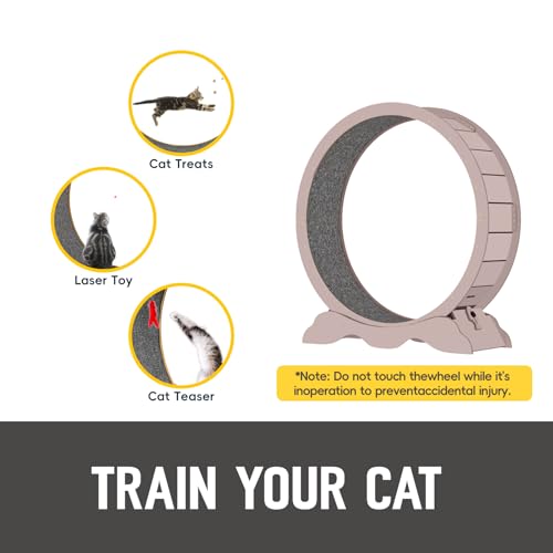 Cat Exercise Wheel 45 Inch Cat Treadmill for Indoor Cats, Running Wheel with Detachable Carpeted Runway