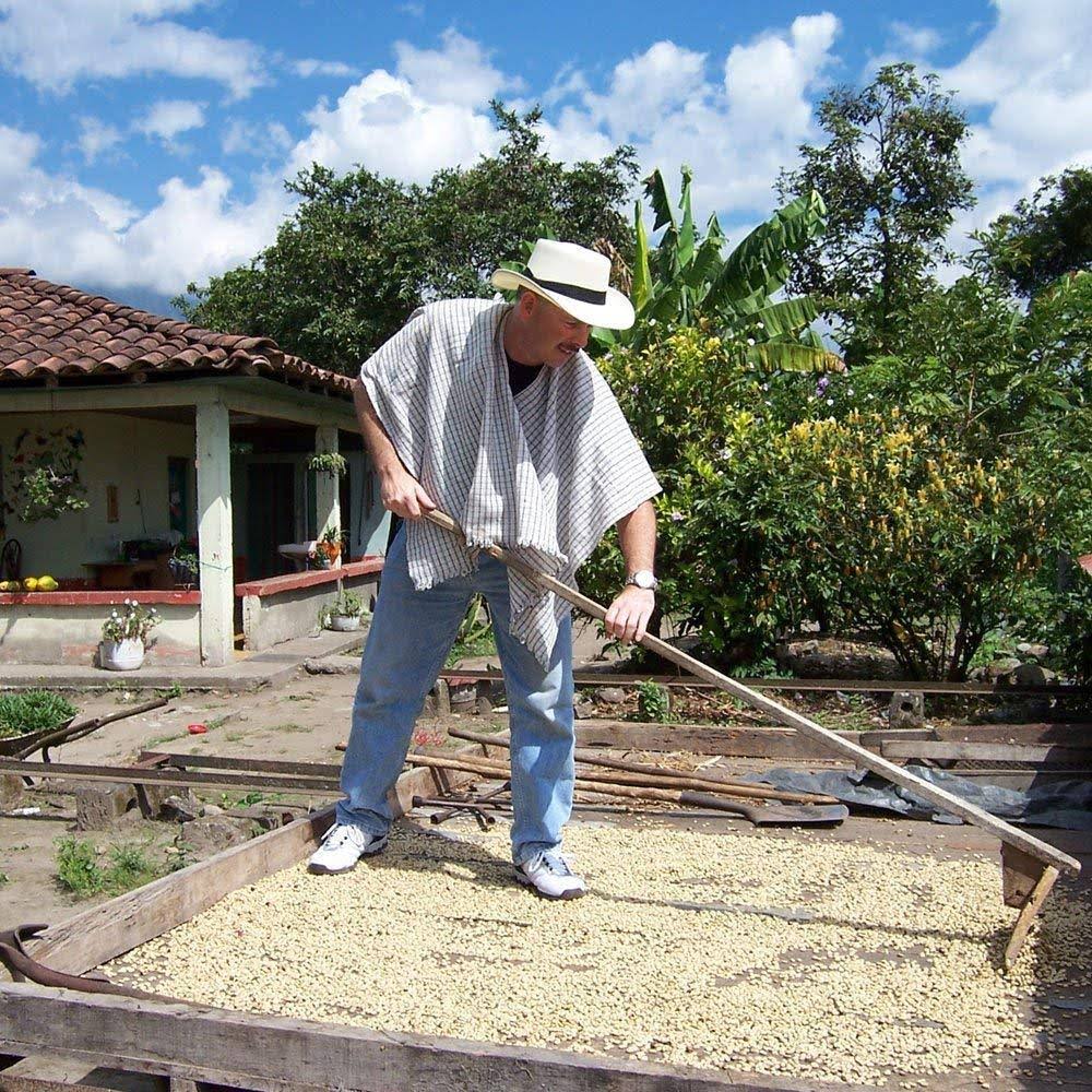 Cafe Don Pablo 5lb Subtle Earth Organic Gourmet Coffee - Dark Roast - Whole Bean