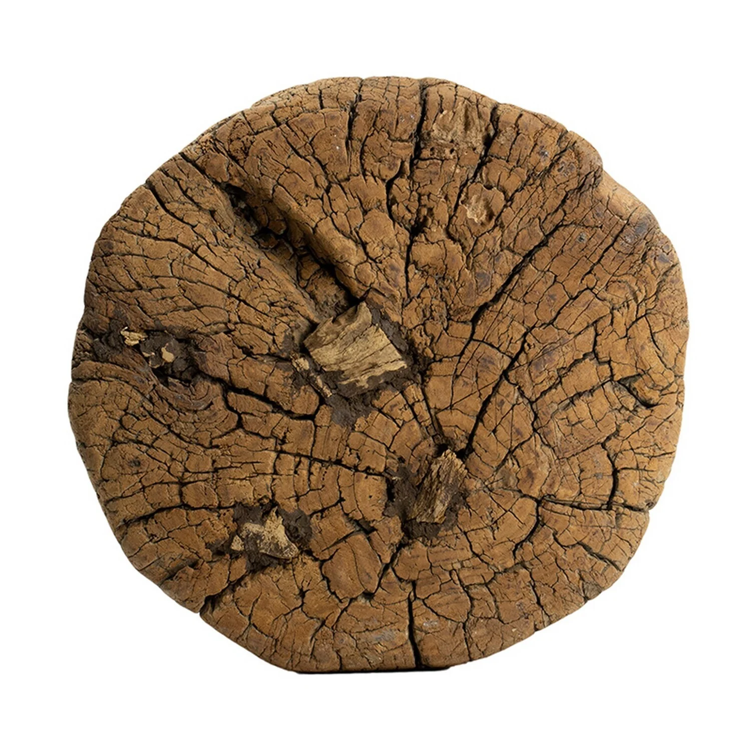 Maykoosh Naturally Nice 14 Inch Stool Table, Rustic Style, Tree Log Design, Distressed Wood Brown
