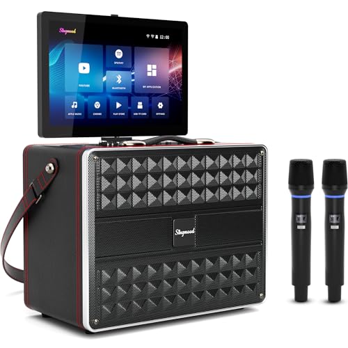 Karaoke Machine for Adults, with Lyrics Display, Smart Portable Big Bluetooth Speaker 2 Wireless Microphones
