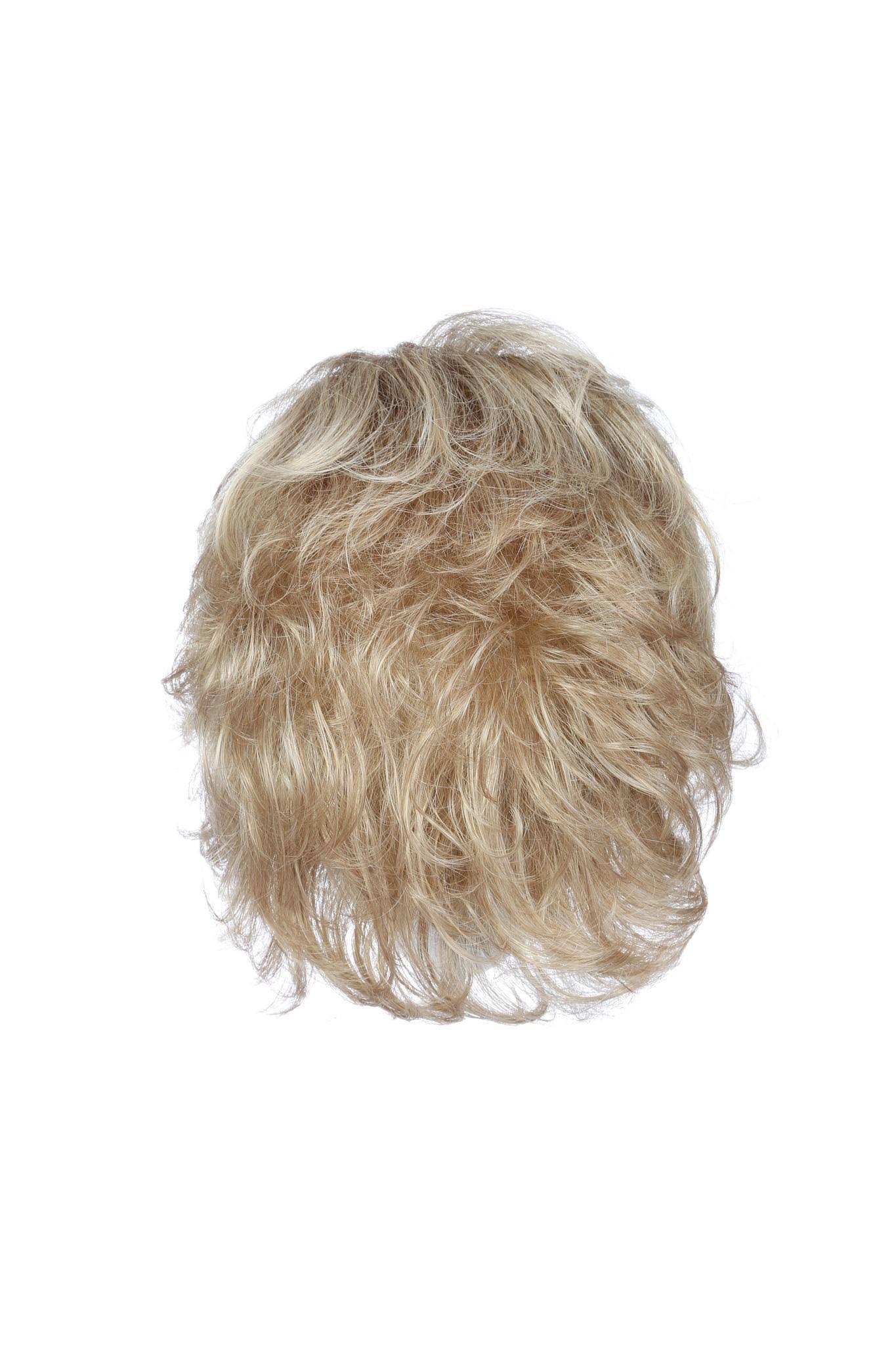 Tango by Raquel Welch Wig - R12/26H