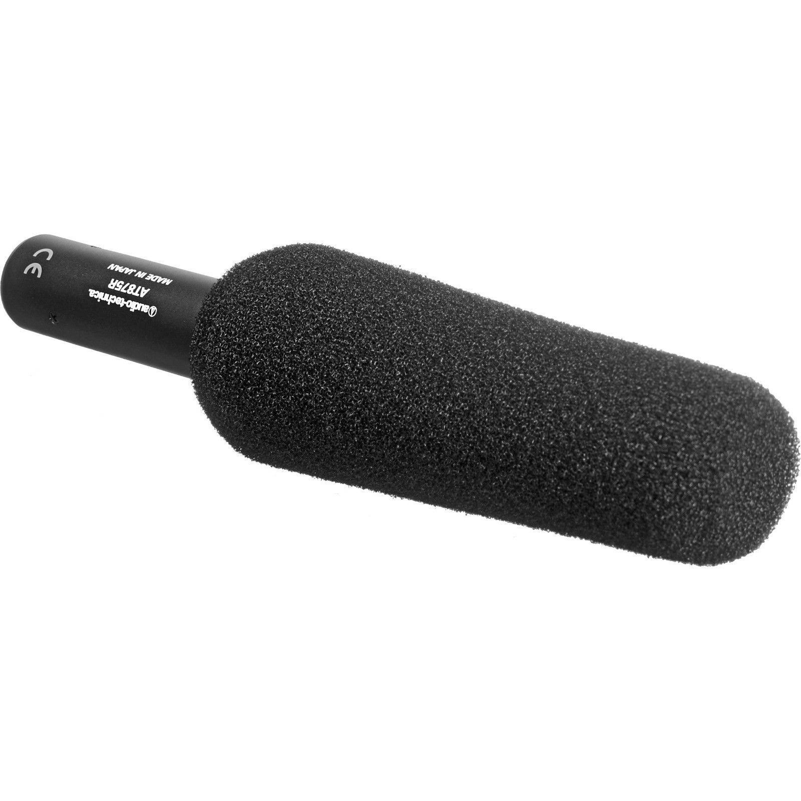 Audio-Technica AT875R Microphone