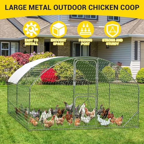 Large Metal Chicken Coop, Walk-in Poultry Cage