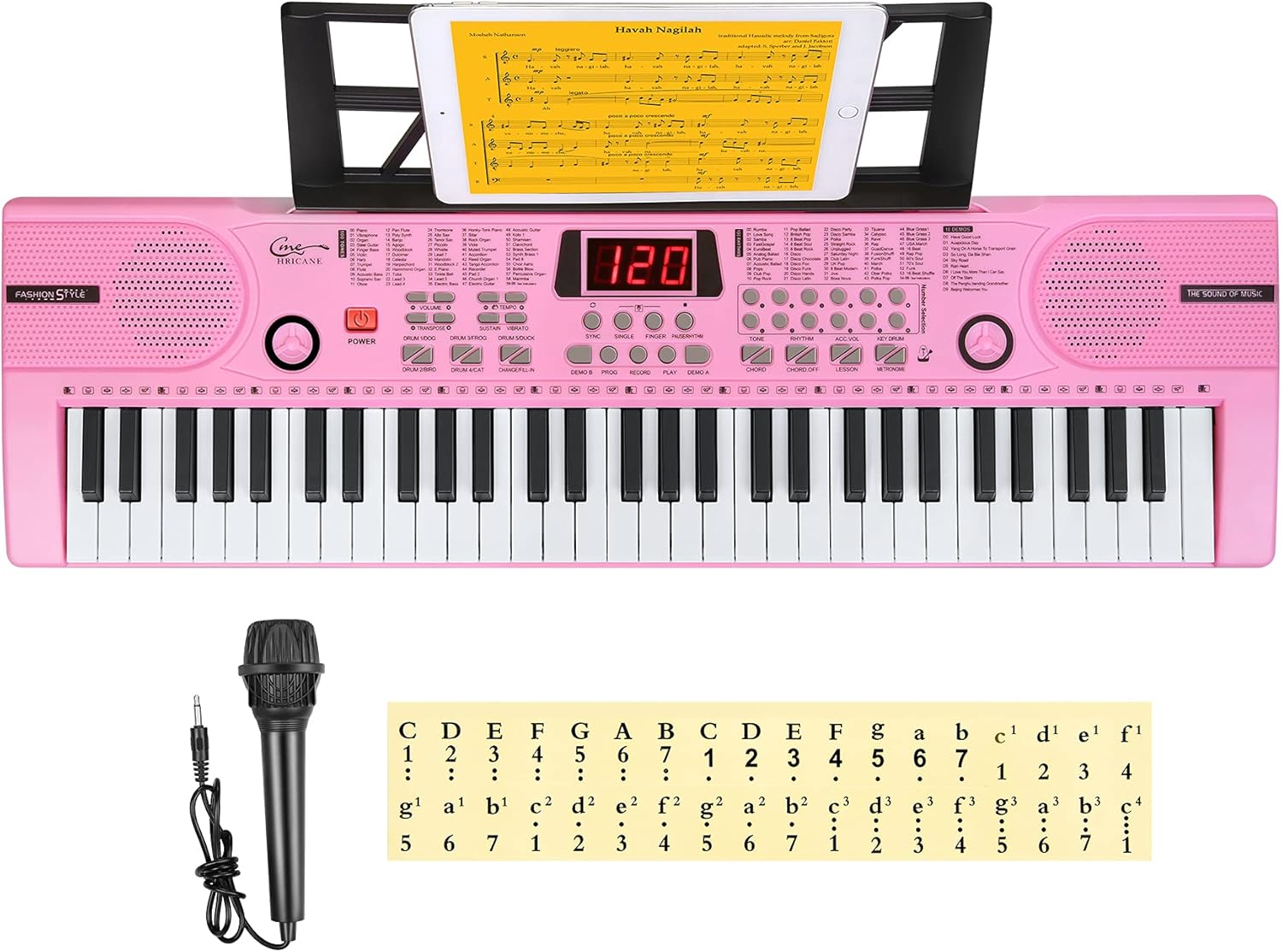 Hricane 61 Key Piano Keyboard for Beginners with Lighted Keys
