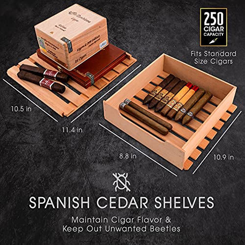 SCHMÉCKÉ 250 Cigar Cooler Humidor with 3 in 1 Precise Cooling, Heating & Humidity Control, Stainless Steel Trim Finish Cabinet