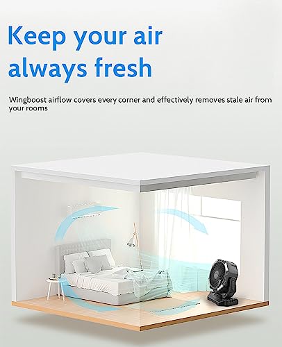 TDONE 40,000mAh Battery Operated Fan, 13" Remote Camping Fan with LED Auto-Oscillating Rechargeable Fan Powerful Portable Desk Fan for Home, Camping