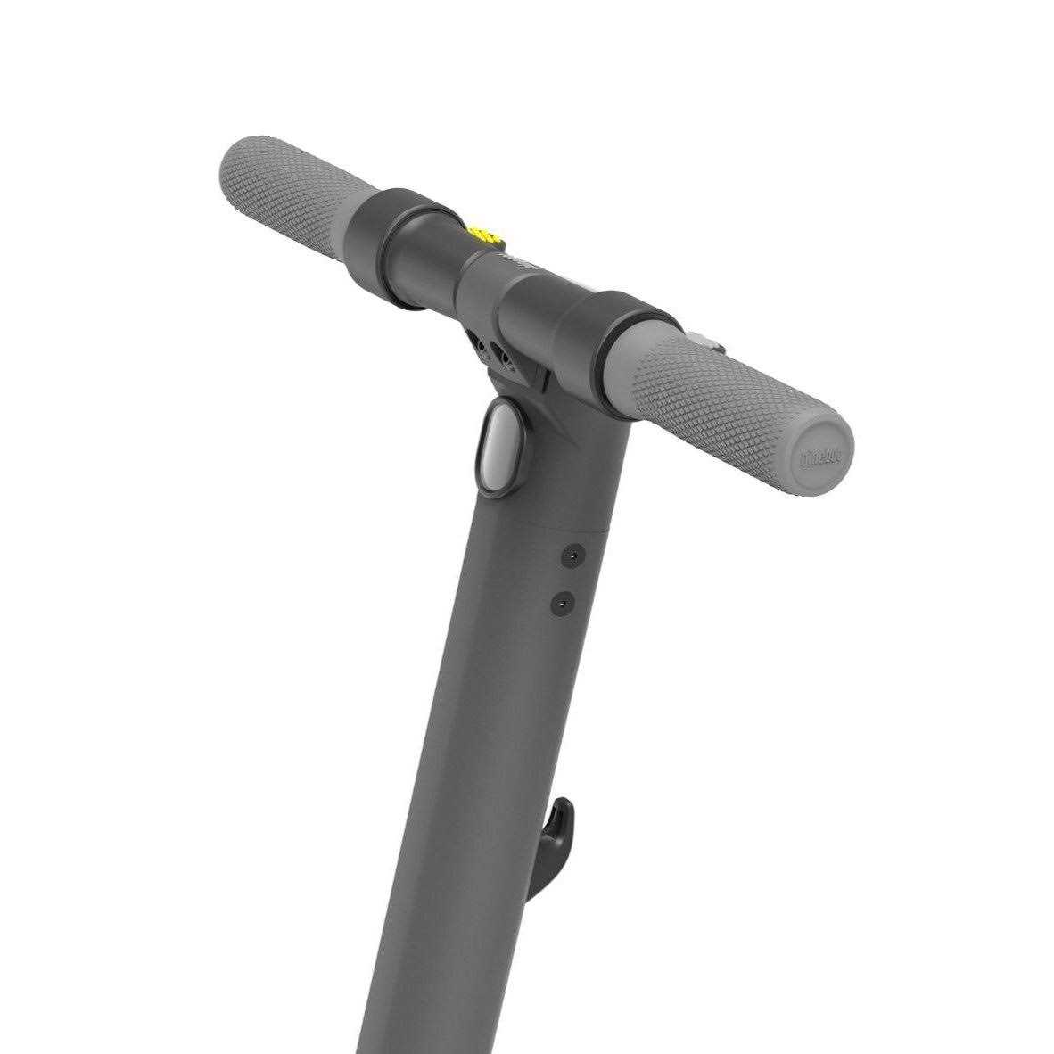 Segway Ninebot KickScooter E22 Electric Scooter - Sports Supplies Online Store