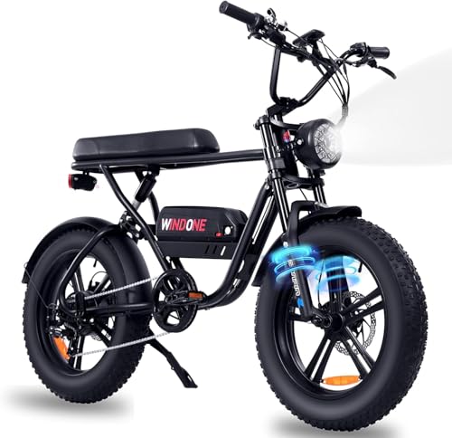 E2/K20 Electric Bike for Adults, 48V 13Ah/15Ah Battery, Up to 28 MPH & 46.6/60 Miles (PAS), 750/1000W Peak Ebike with All-Terrain 20"/26''