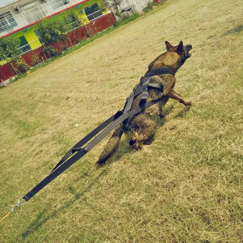 PET ARTIST Dog Sled Weight Pulling Training Harnesses for Large Work Dogs Behaviors Training, Dog Pulling Sledding Harnesses for Weight Pulling