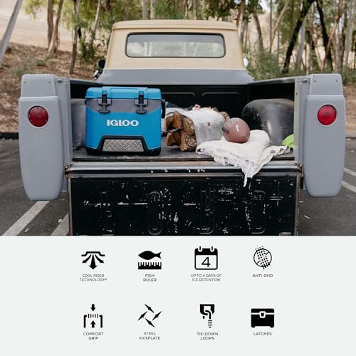 Igloo BMX Hard Coolers (25-72QT)