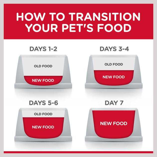 Hill's Science Diet Adult 6+ Large Breed Chicken Meal Dry Dog Food - Pet Supplies online store