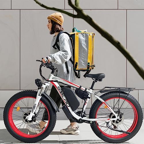 Electric Bike for Adults