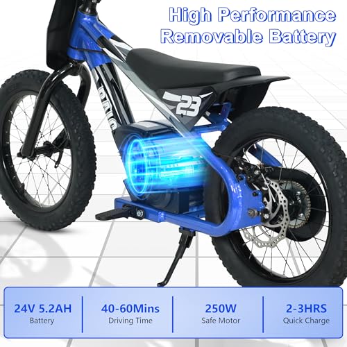 wanan Electric Dirt Bike for Kids 6-12 with Shock-Absorbing Front Fork, 250W Electric Motorcycle Up to 15.5MPH, 24V Detachable Battery, 16''