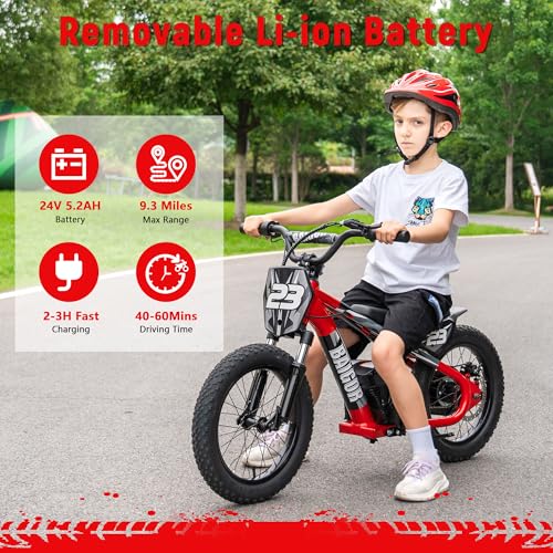 wanan Electric Dirt Bike for Kids 6-12 with Shock-Absorbing Front Fork, 250W Electric Motorcycle Up to 15.5MPH, 24V Detachable Battery, 16''