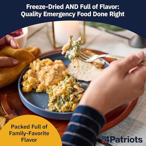 4Patriots 2-Week Survival Food Kit: Emergency Food Supply Designed to Last 25 Years, 84 Servings