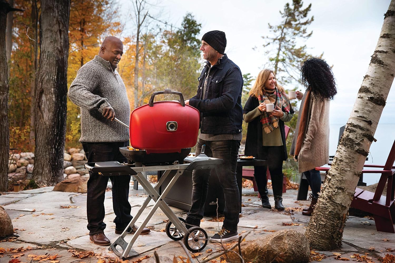 Napoleon TravelQ 285 Portable Gas BBQ Grill, Propane, Red Lid - TQ285X-RD-1-A – Includes Folding Cart, Two Burners, Cast Iron Cooking Grids