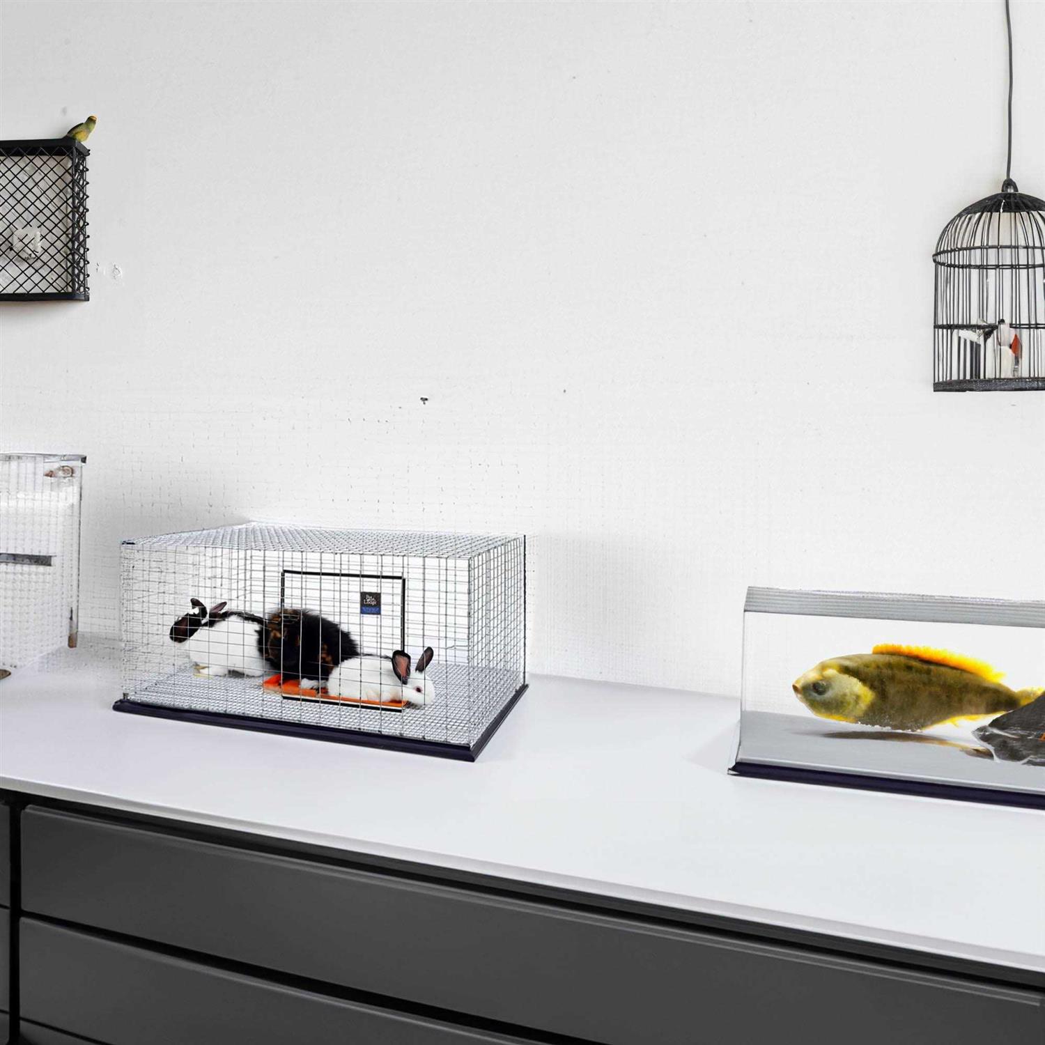 Pet Lodge Rabbit Hutch - Pet Supplies online store