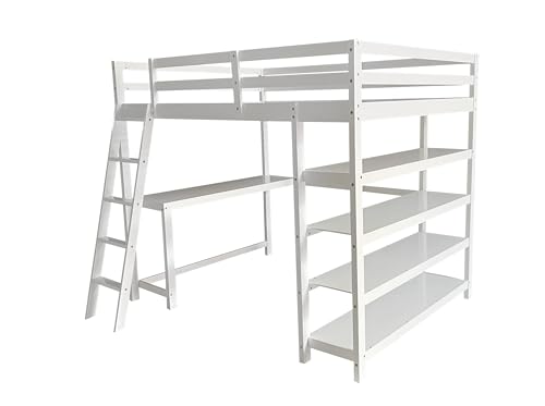 Queen Size Murphy Bed with Desk & Charging Station,Wall Bed Frame Folding into Cabinet Design w/LED & Storage Shelf for Small Space,Bedroom