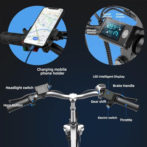 Folding Electric Bike for Adults, 750W Motor(1000W Peak),30MPH, 60Mile,48V 12.8AH/15AH/20AH Battery,20" Fat Tire Foldable Electric Bicycle