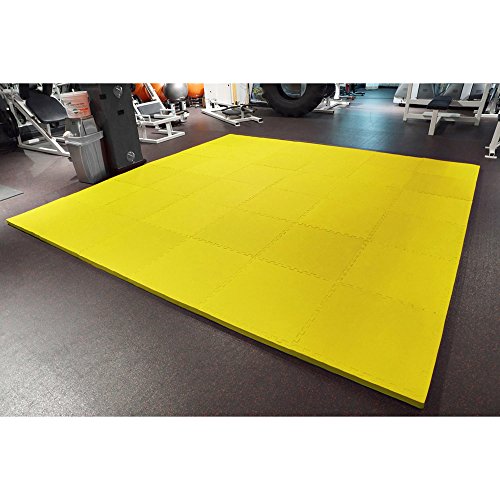 Meister X-THICK 1.5" Interlocking EVA Foam Mats - 2X Cushion for Wrestling, MMA Takedowns & Gymnastics - 2'x2' Tiles