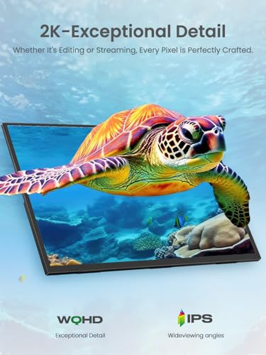 Portable Monitor 18.5 inch 120hz for Laptop