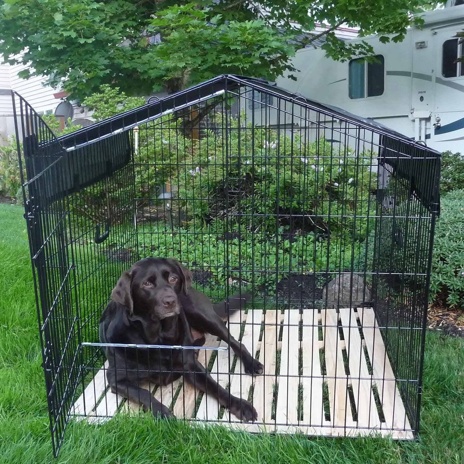 Lucky Dog Travel Kennel