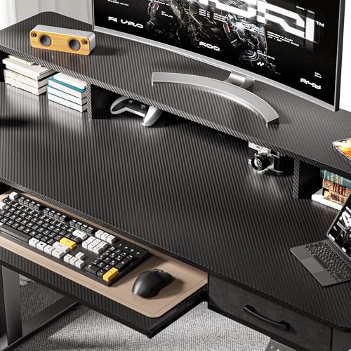48x24 Inches Electric Standing Desk with 2 Drawers, Height Adjustable Stand up Desk for Home Office, Ergonomic Sit to Stand Table with Storage Shelf