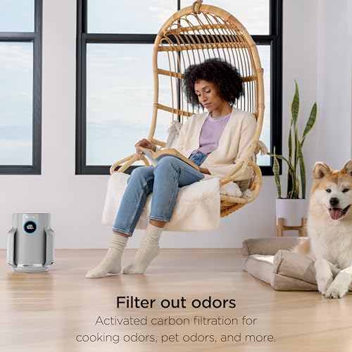 Shark Air Purifiers for Home Large Room with NeverChange Air Filter, 5 Year HEPA Filter, Covers 650 Sq. ft