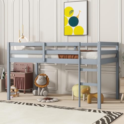 Low Loft Bed Twin Size, Kids Solid Wood Modern Loft Bed Frame with Ladder and Safety Guardrail for Girls Boys, Noise-Free,Non-Toxic Finishes