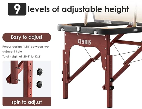 CLORIS 84" Professional Massage Table Portable 2 Folding Lightweight Facial Solon Spa Tattoo Bed Height Adjustable with Carrying Bag & Aluminium Leg