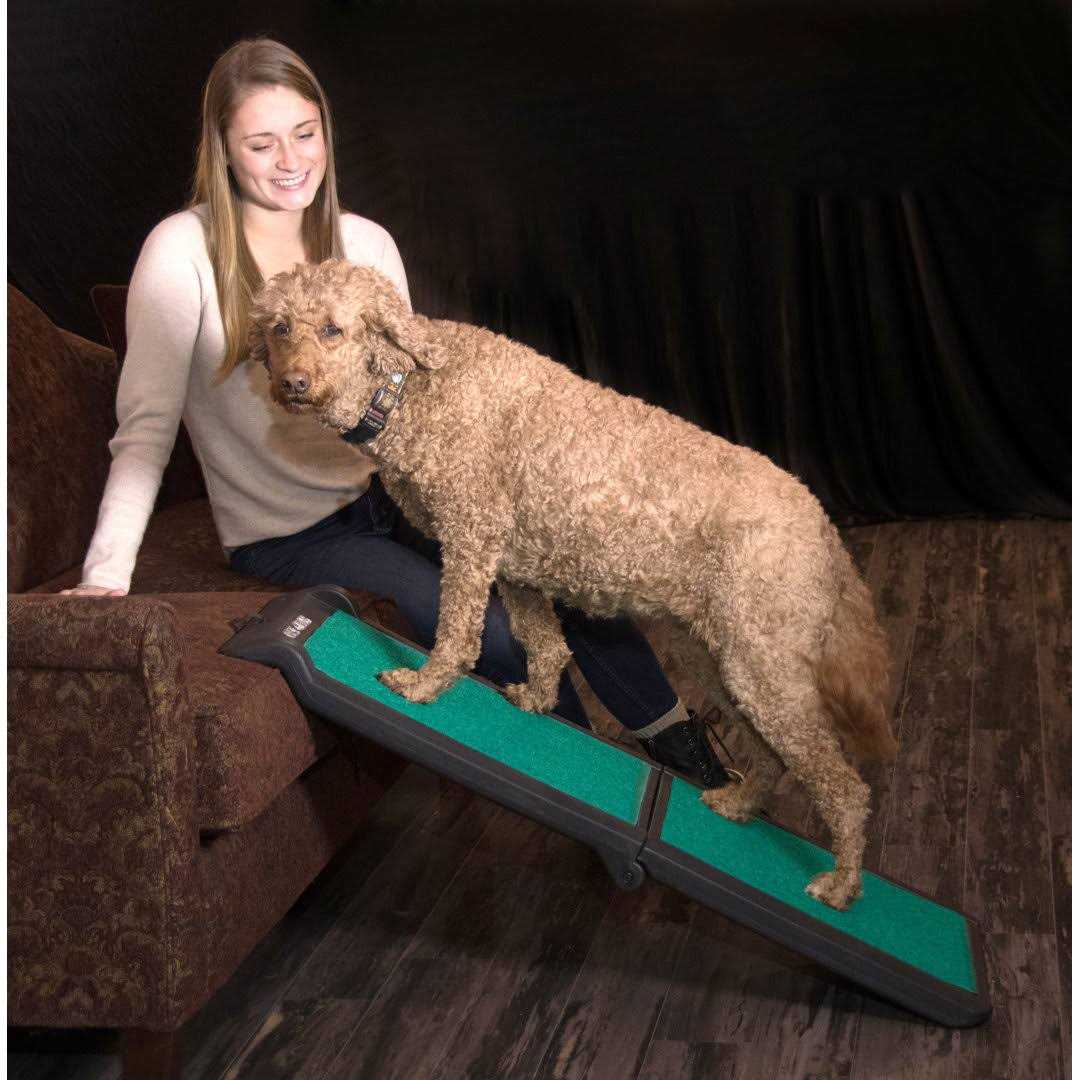 Pet Gear Bi-Fold Travel Lite Ramp with supertraX