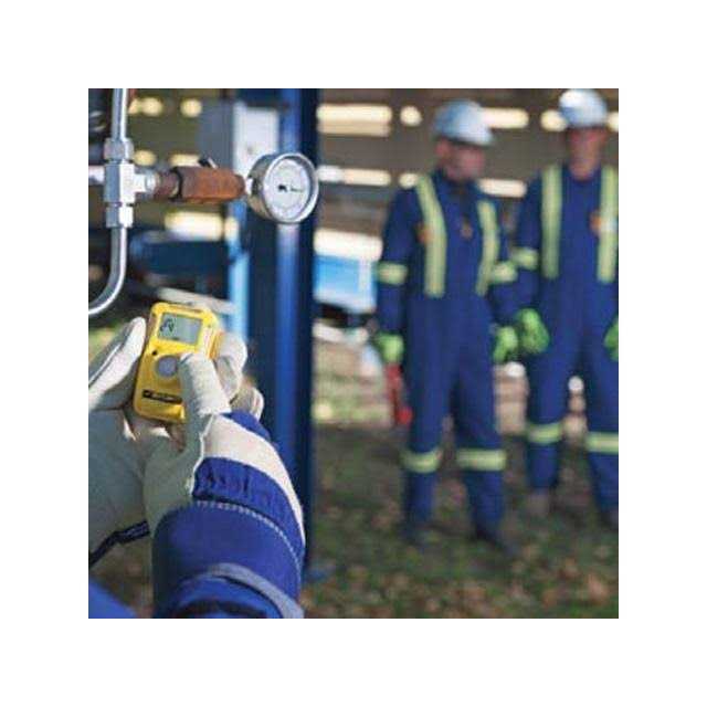 BW Technologies BWC2-M BW Clip Single Gas Co Monitor - Shop Hardware Tools Online Store