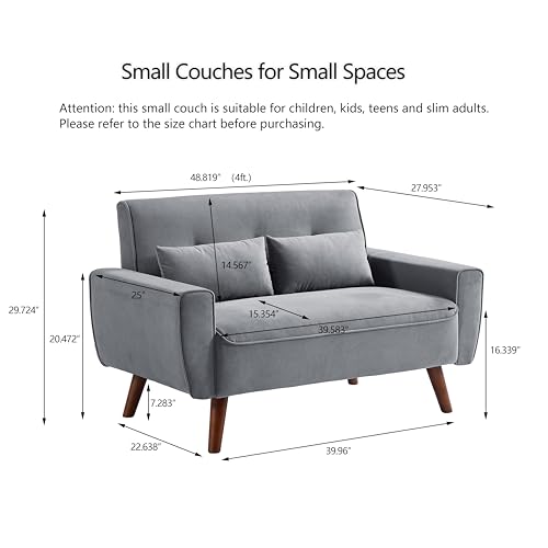 48.8" Small Loveseat Sofa, Mid Century Modern Love Seat Couch with Back Cushions and Wood Legs, 2 Seater Couches for Living Room, Bedroom