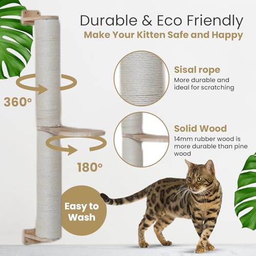 Cat Wall Shelves & Furniture Set (9 Pieces)-Durable Rubber Wood & Non-Slip Carpet, Includes Washable Hammock, Shelf, Climbing Scratcher, Ladder