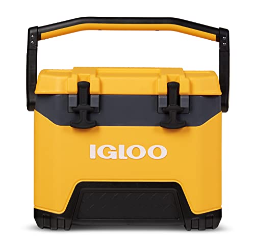 Igloo BMX Hard Coolers (25-72QT)