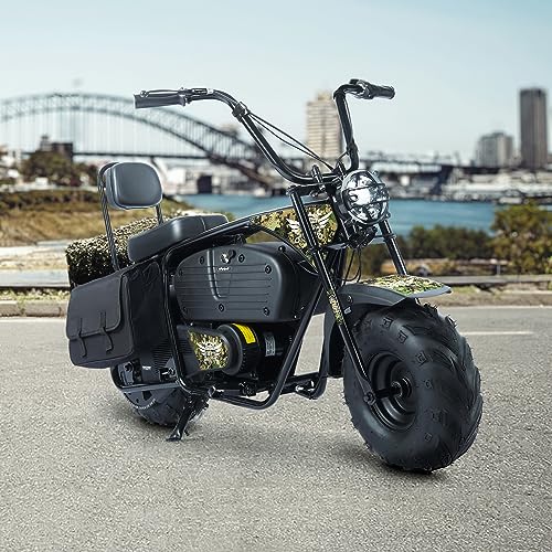 Oryxearth Electric Mini Dirt Bike, 36V Battery 1000W Motor Electrical Powered Motorcycle for Kids, 2 Speeds-15.5MPH/22 MPH, 2 Hanging Bags