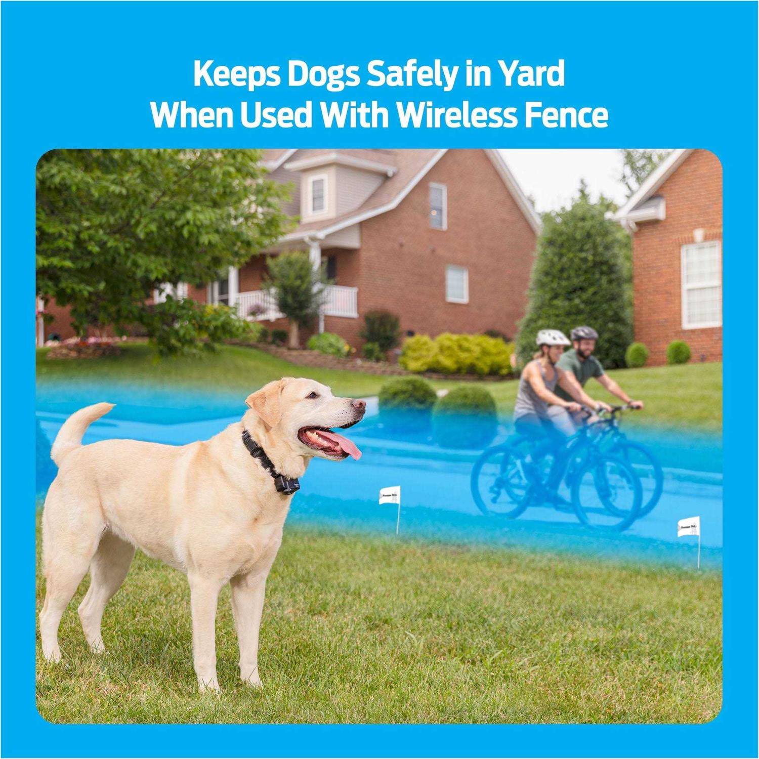 Premier Pet Wireless Add-A-Dog Collar - Pet Supplies online store
