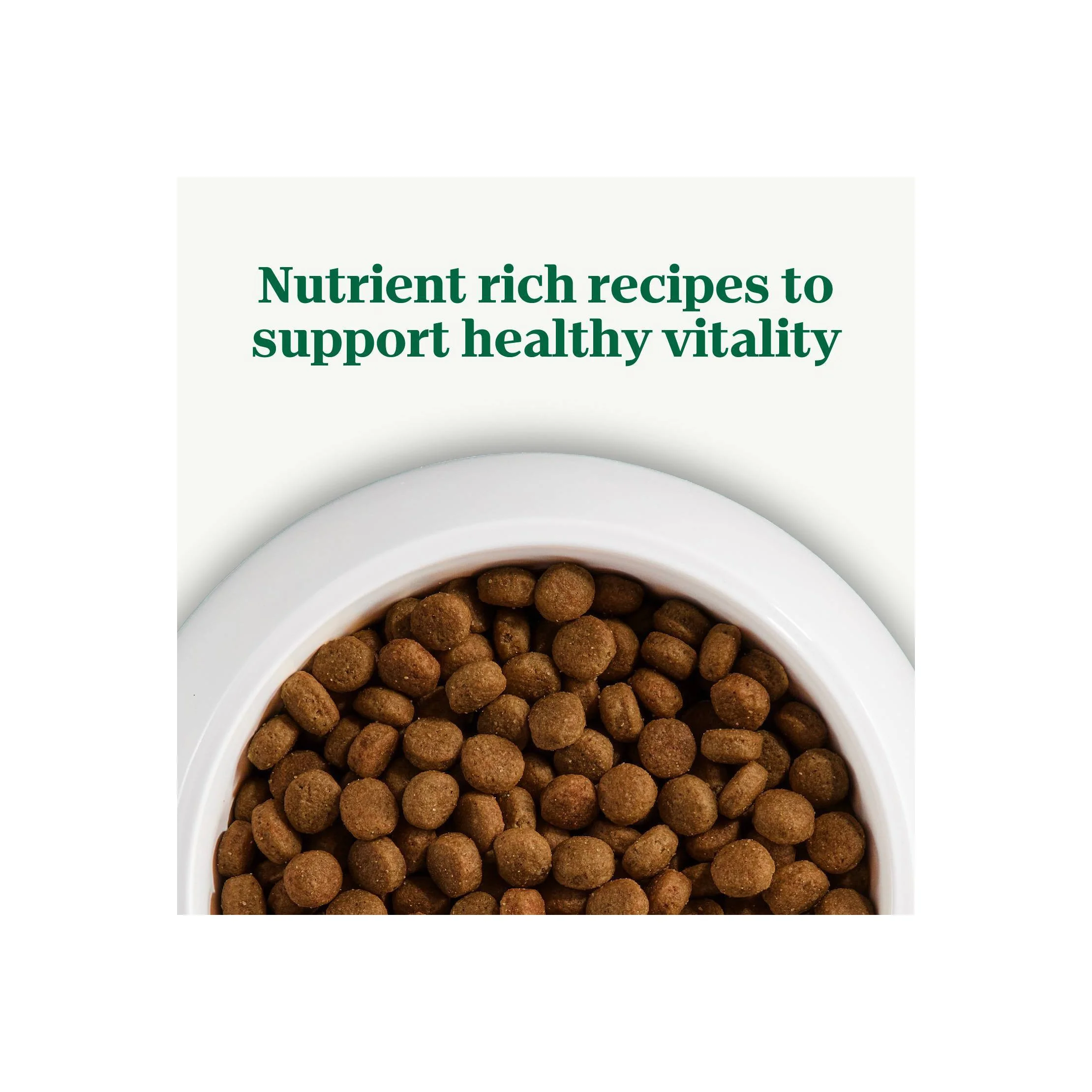 Natural Choice Lamb & Brown Rice Adult Dry Dog Food - 30lbs