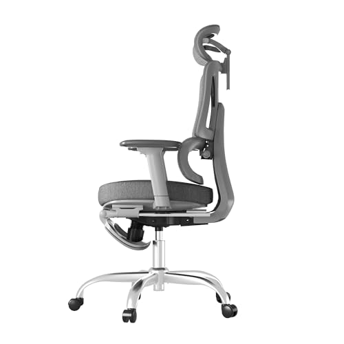FLEXISPOT ErgoX Premium Ergonomic Office Chair with Footrest- Adjustable 3D Armrests, Dynamic Lumbar Support, Recline & Tilt Function, Mesh Seat
