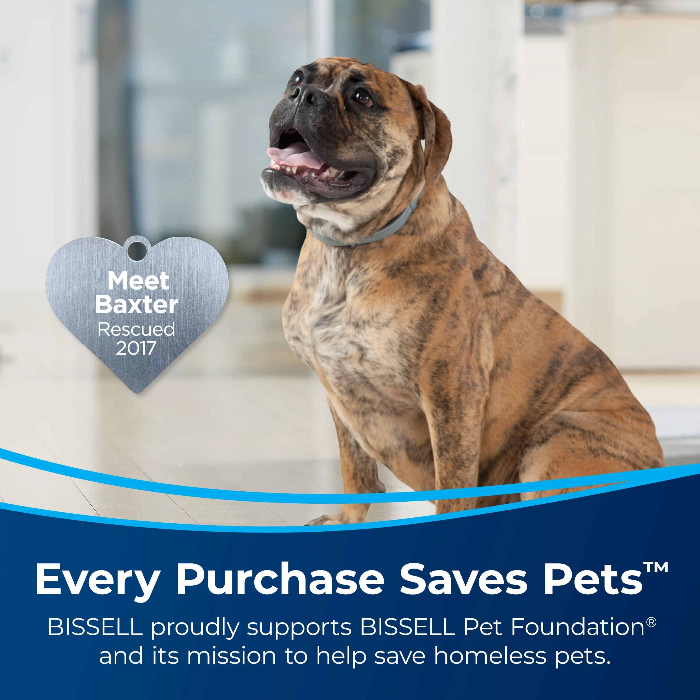 BISSELL PowerLifter Swivel Lift-Off Pet Upright Vacuum 2920F