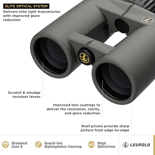 Leupold BX-4 Pro Guide HD Binoculars, 10x42mm Gen 2 (184761)
