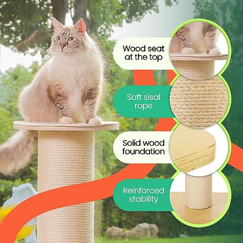 50" Tall Cat Scratching Post, Extra-Large Cat Scratch Post for Biggest Cats (Maine Coon), 7.3” Thick Post, 36lbs Weight
