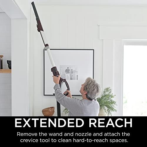 Shark NV752 Rotator Powered Lift-Away TruePet Upright Vacuum with HEPA Filter, Large Dust Cup Capacity, LED Headlights, Upholstery Tool